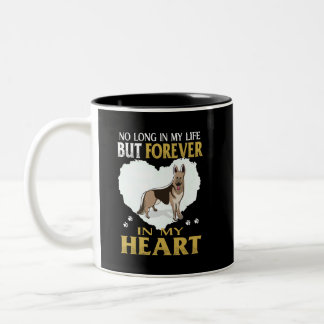 17 No Long In My Life But Forever In My Heart Two-Tone Coffee Mug
