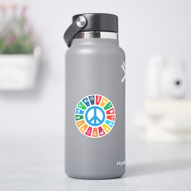 17 UN SDGs Sustainable Development Goals (HydroFlask)