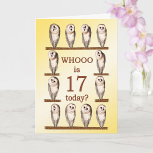 17th Birthday, Curious Owls Card