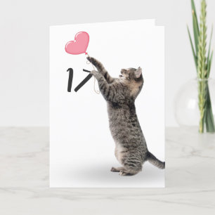 17th Birthday Tabby Cat Card