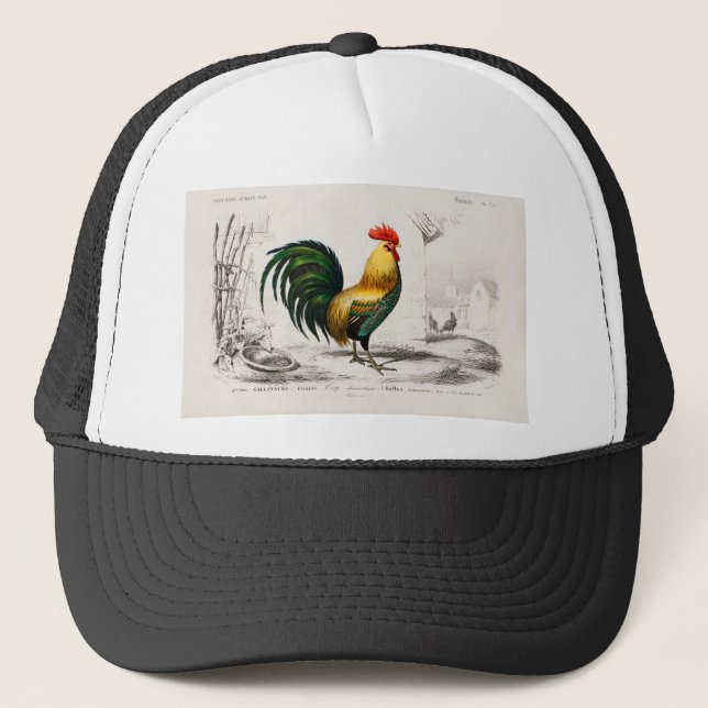1800's Rooster Chicken Coop Illustration Trucker Hat (Front)