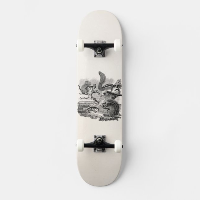 1800s Vintage Squirrels Illustration - Squirrel Skateboard (Front)