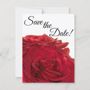 1824-Red Roses Postcard