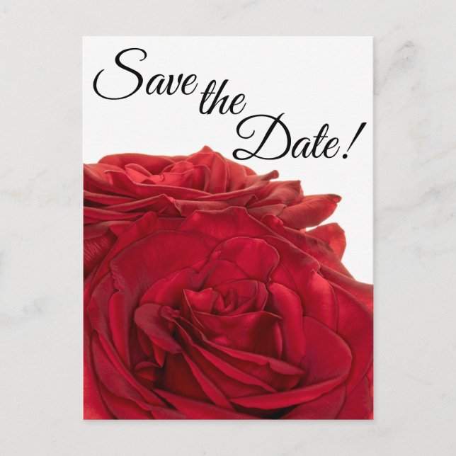 1824-Red Roses Postcard (Front)