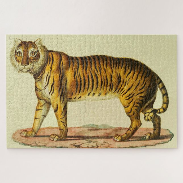 1824 tiger print jigsaw puzzle (Horizontal)