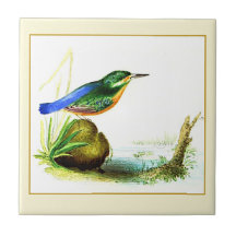 1833 Liverpool Archive | Kingfisher Decorative