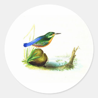 1833 Liverpool Archive | Kingfisher Envelope Classic Round Sticker