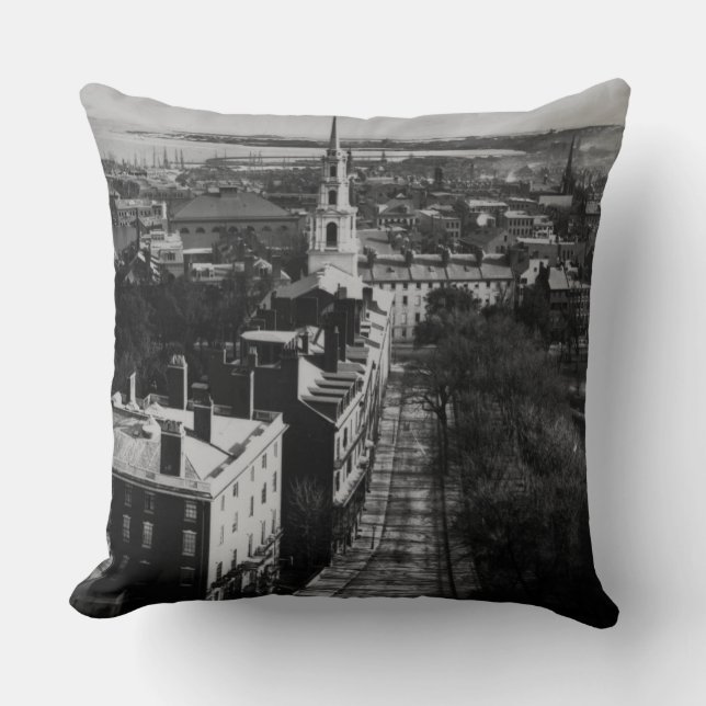 1859:  A view of Boston from the State House Cushion (Front)