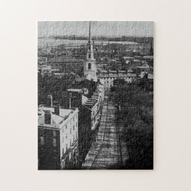 1859:  A view of Boston from the State House Jigsaw Puzzle (Vertical)