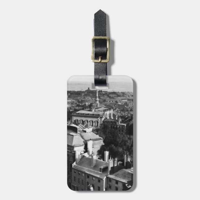 1859:  A view of Boston looking south Luggage Tag (Front Vertical)