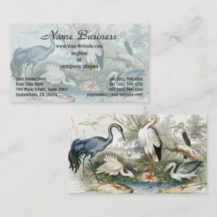 1866 Crane  White Stork Heron Little Egret Tree Business Card