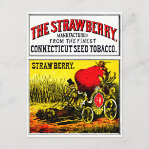 1874 The Strawberry Cigar Postcard