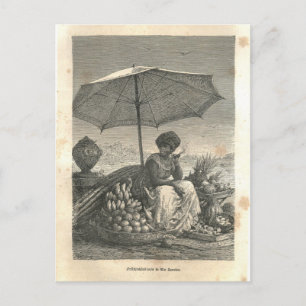 1877 Print Rio Janeiro, Earth and its Peoples Postcard