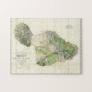 1885 De Witt Alexander Map of Maui, Hawaii Jigsaw Puzzle