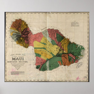 1885 Map of Maui, Hawaii Poster