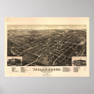 1885 Tallahassee, FL Birds Eye View Panoramic Map Poster