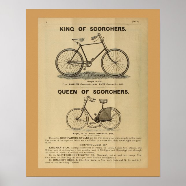 1893 Vintage Bicycle Magazine Ad Art Poster (Front)