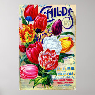 1899 John Lewis Childs Horticulture Floral Vintage Poster