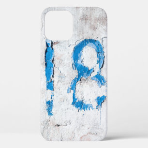 18 text on wall iPhone 12 case
