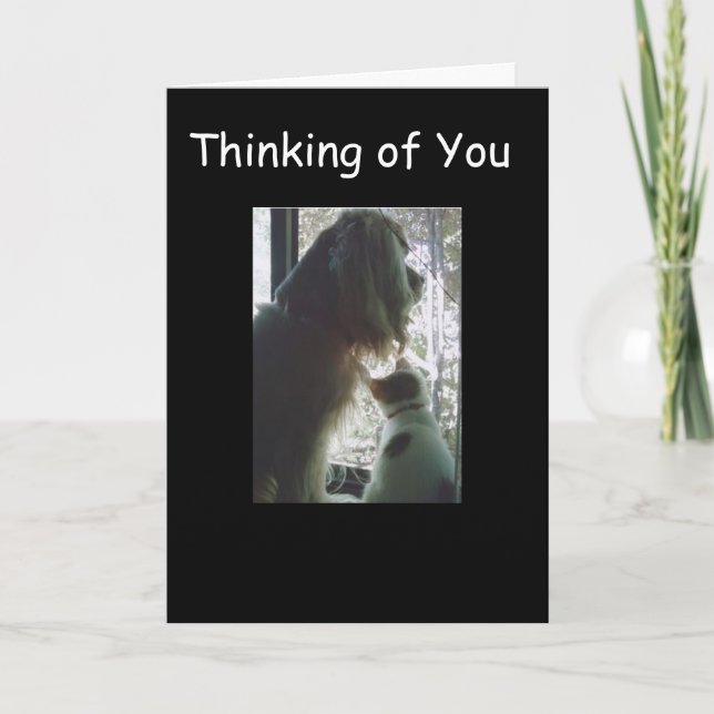 **18th BIRTHDAY** from TWO CUTE PETS! Card (Front)