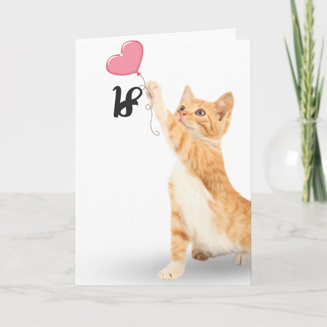 18th birthday tabby cat card (Front)