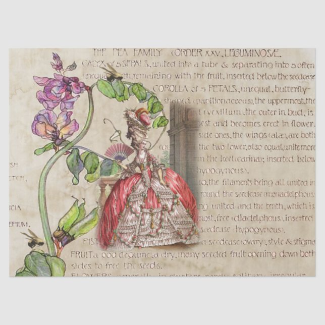 18th Century Royal Ephemera Tissue Paper (Front)