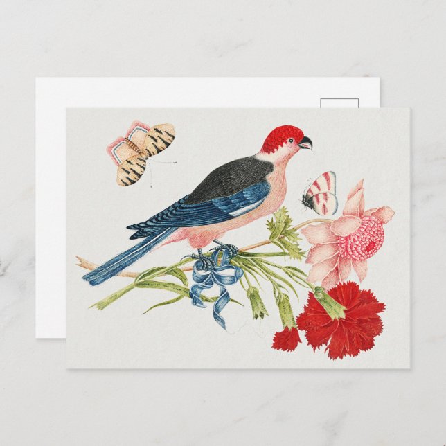 18th Century Vintage Birds, Flowers & Butterflies Postcard (Front/Back)