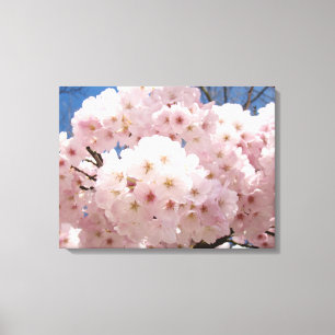 18x24 Tree Flower Blossoms Canvas Prints