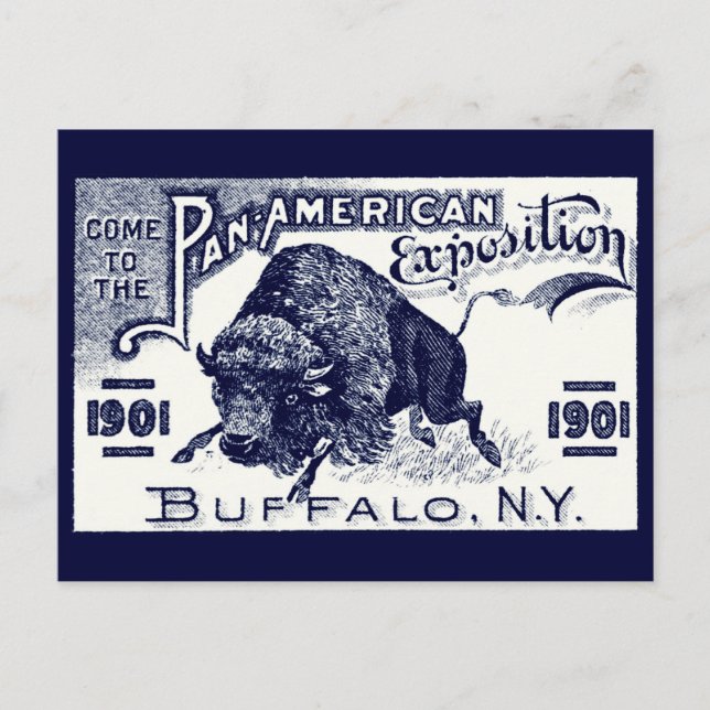 1901 Pan-American Expo Postcard (Front)