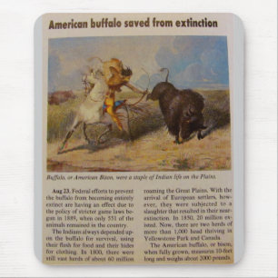 1902  American Buffalo Saved from Extinction Mouse Pad