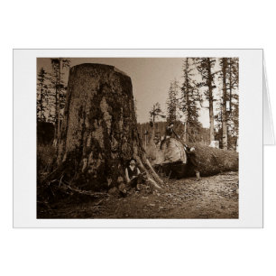 1903 Vintage Lumberjacks Magic Lantern Slide