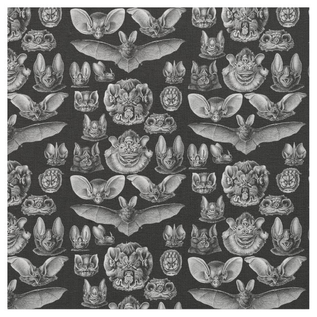 1904 Haeckel Chiroptera Fabric (Close Up)