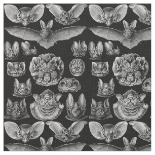 1904 Haeckel Chiroptera Fabric