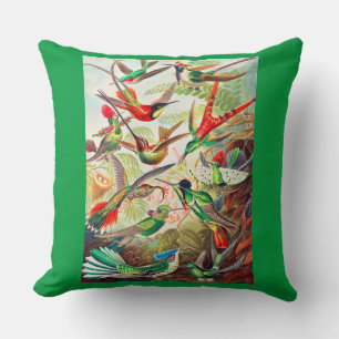 1904 hummingbirds print cushion