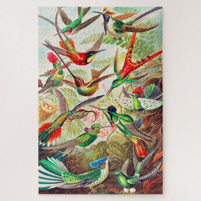 1904 hummingbirds print jigsaw puzzle (Vertical)