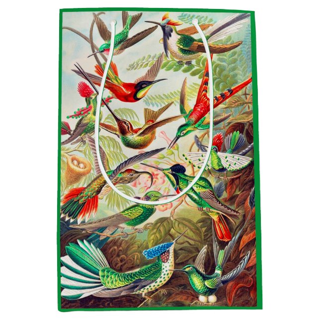 1904 hummingbirds print medium gift bag (Front)