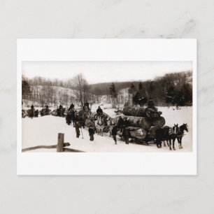 1905 Lumberjacks at work Postcard