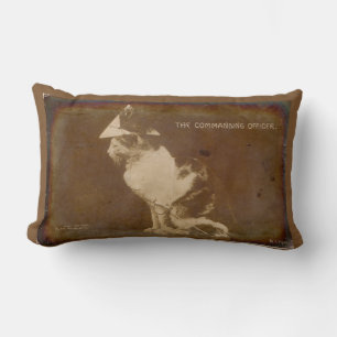 1906 The Commanding Officer dressed cat RPPC Lumbar Cushion