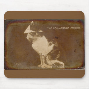 1906 The Commanding Officer dressed cat RPPC Mouse Pad