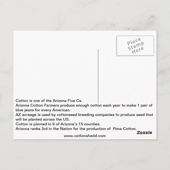 1912 Arizona Cotton Fact Postcard (Back)