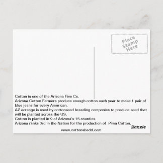 1912 Arizona Cotton Fact Postcard