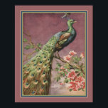 1920's Art Deco Peacock by Carlo Chiostri Poster<br><div class="desc">Art Deco Peacock ca. 1920's by Carlo Chiostri</div>