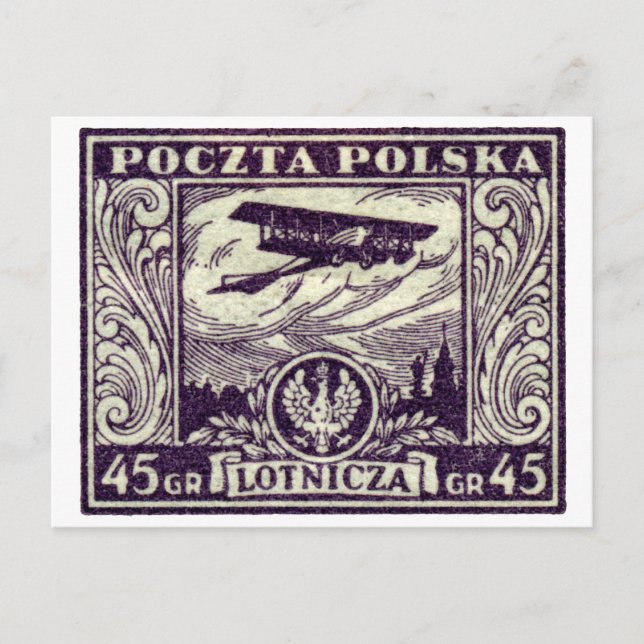 1925 45gr Polish Airmail Stamp Postcard (Front)