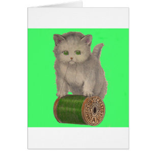 1930 Corticelli white kitten