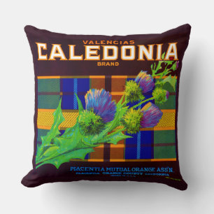1930s Caledonia orange crate label Cushion