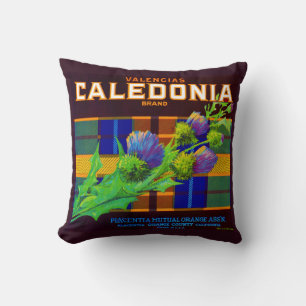 1930s Caledonia orange crate label print Cushion