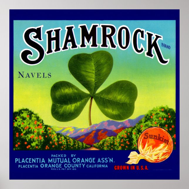 1930s fruit crate label Shamrock Navel Oranges Poster (Front)