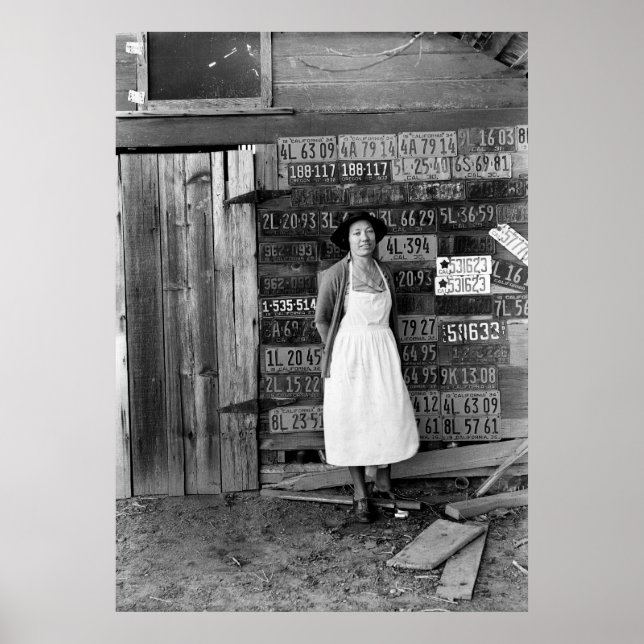 1930s License Plate Collection Poster (Front)