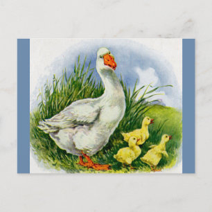 1930s mama duck and ducklings postcard
