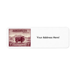 1934 Australian Merino Sheep